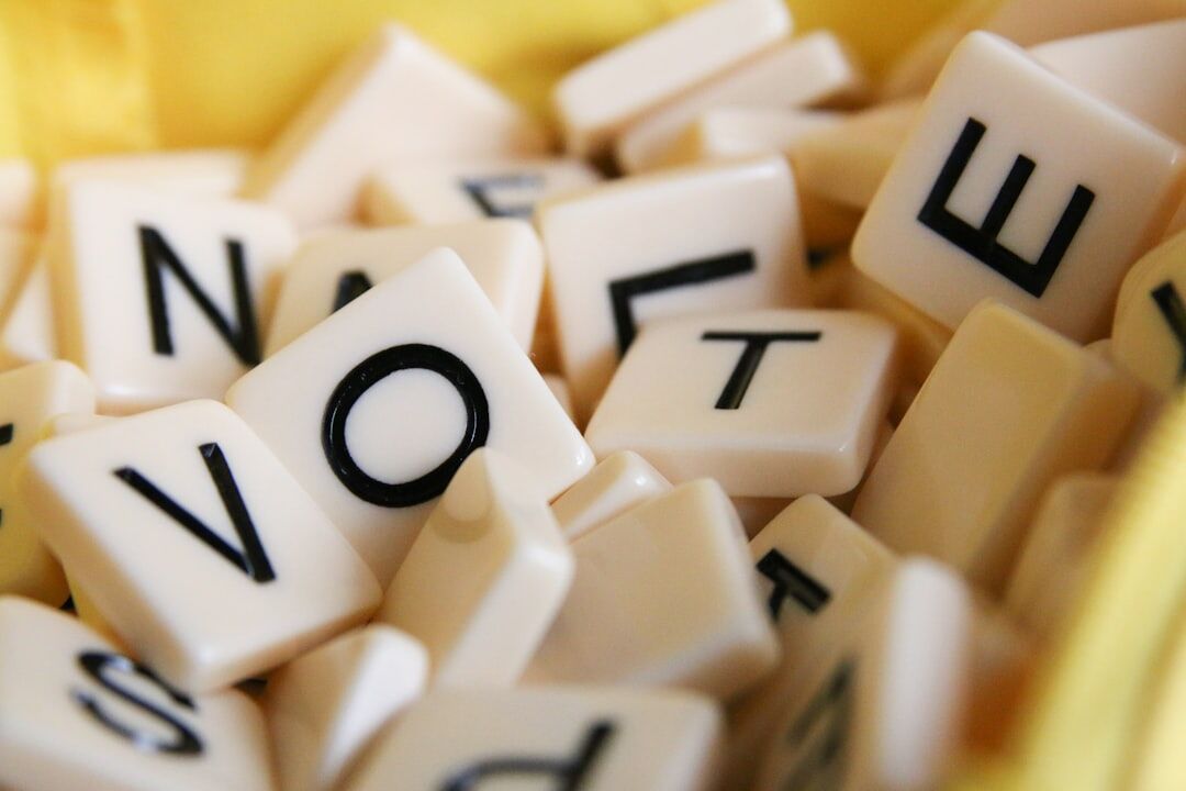 citizens voting in election
